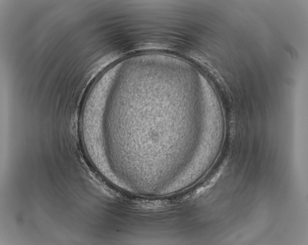 X0000112171121200908281334