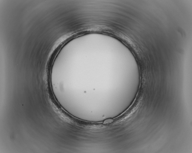 X0000112171122200908281334