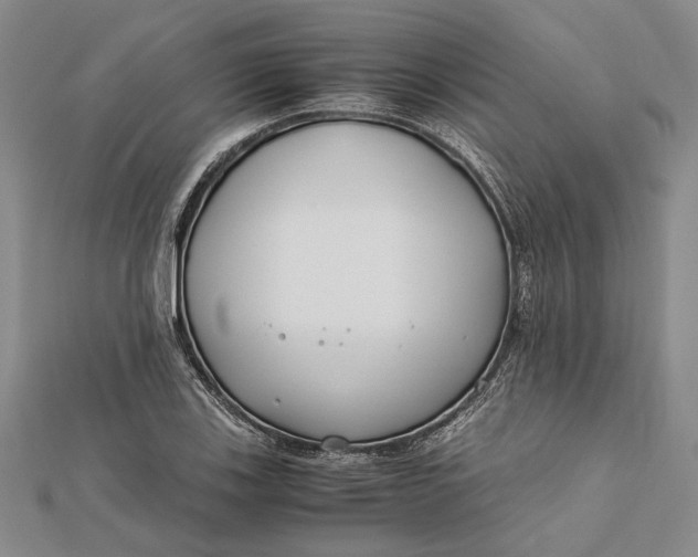 X0000112171123200908281334