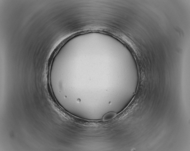 X0000112171124200908281334