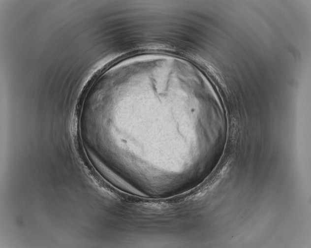 X0000112171125200908281334