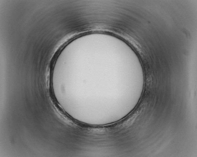 X0000112171126200908281334