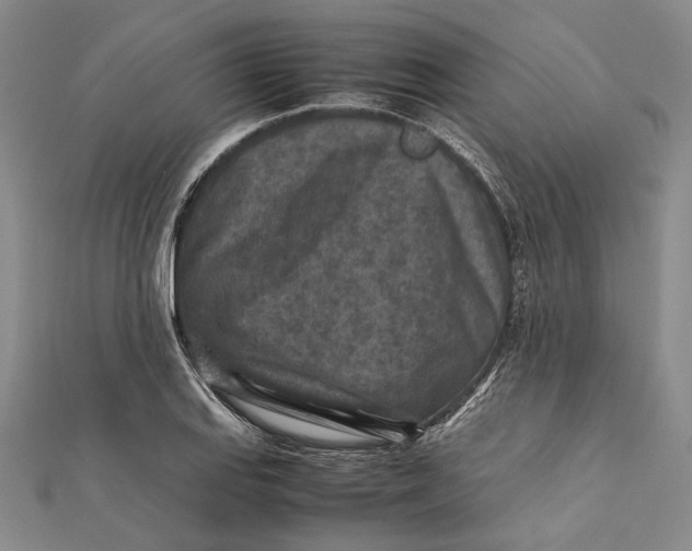 X0000112171127200908281334