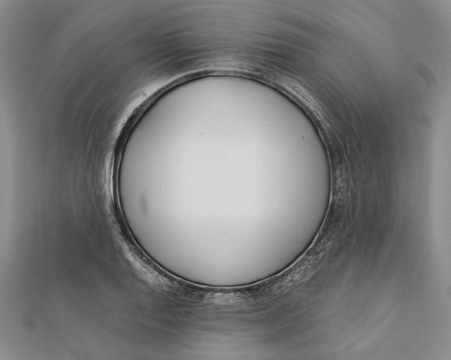 X0000112171128200908281334