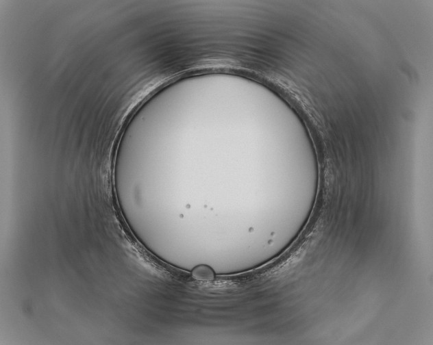 X0000112171129200908281334