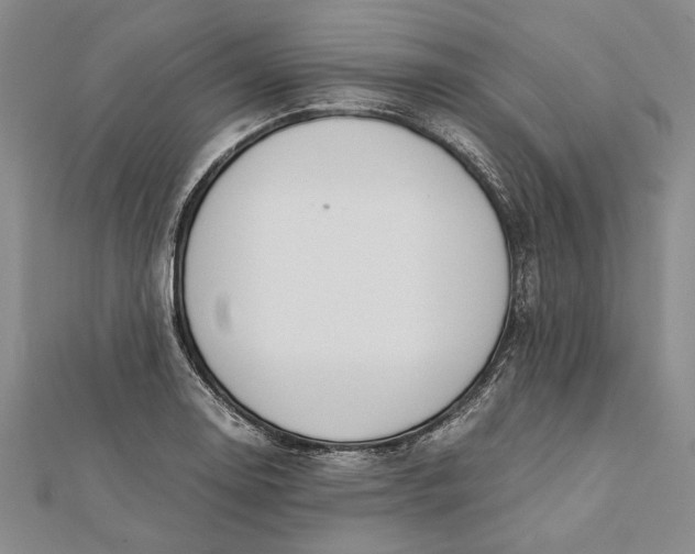 X0000112171130200908281334