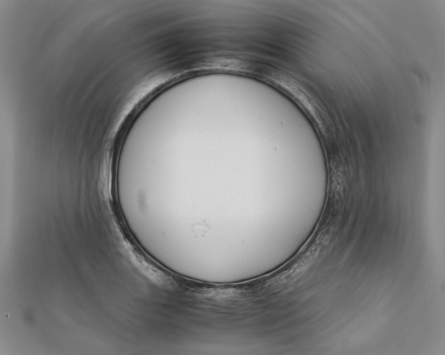 X0000112171131200908281334