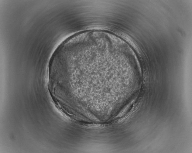 X0000112171132200908281334