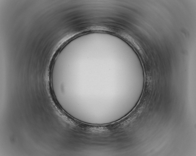 X0000112171133200908281334