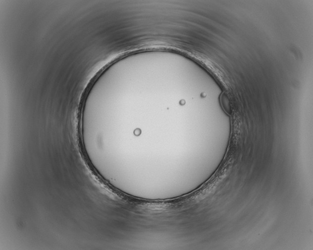 X0000112171134200908281334