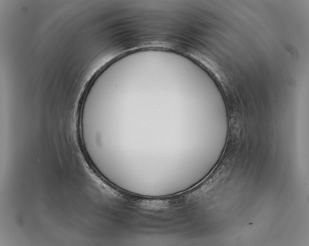 X0000112171135200908281334