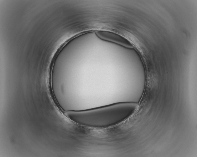 X0000112171136200908281334