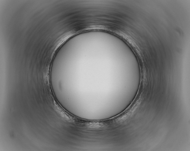 X0000112171137200908281334