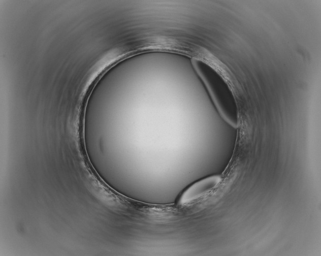 X0000112171138200908281334