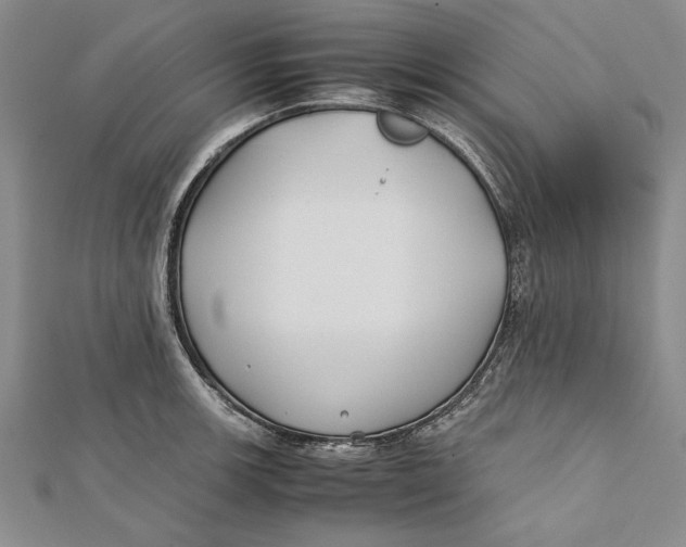 X0000112171139200908281334