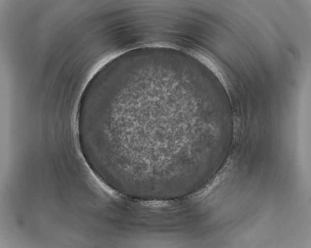 X0000112171141200908281334