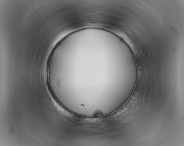 X0000112171143200908281334