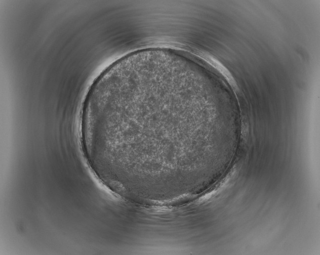 X0000112171144200908281334