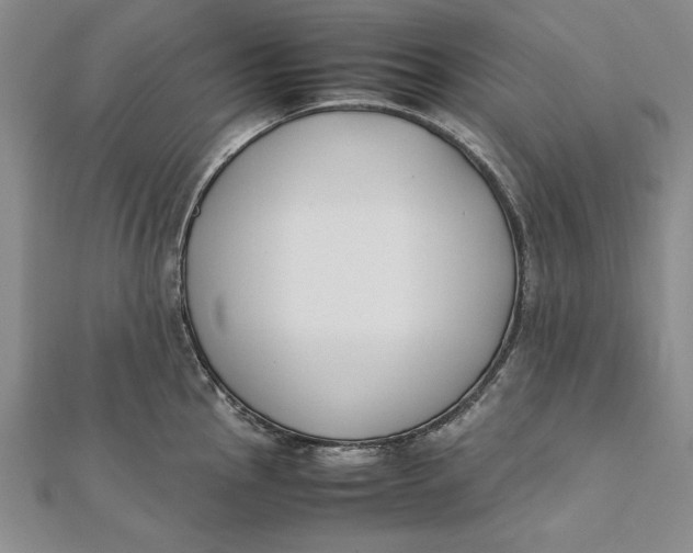 X0000112171145200908281334