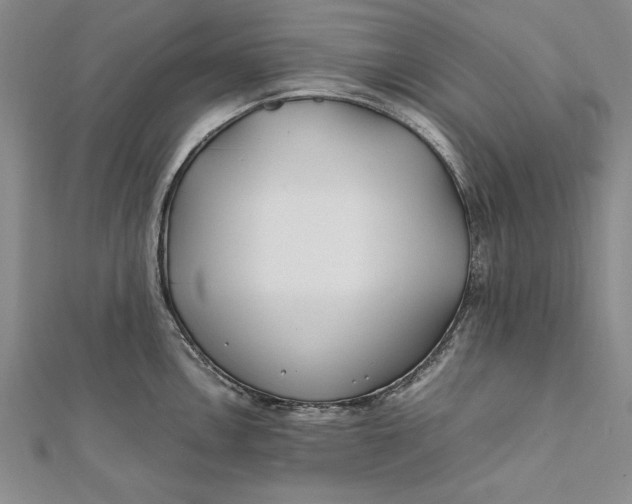 X0000112171146200908281334