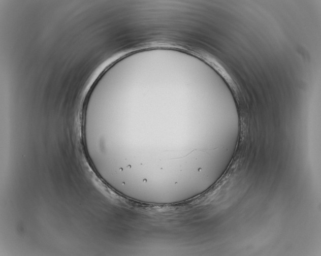 X0000112171148200908281334