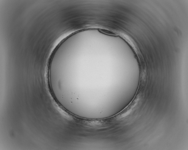 X0000112171149200908281334