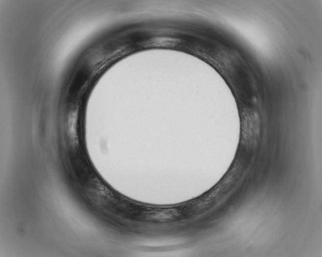 X0000112171150200908281334