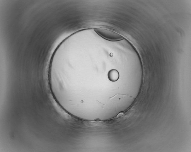 X0000112171152200908281334