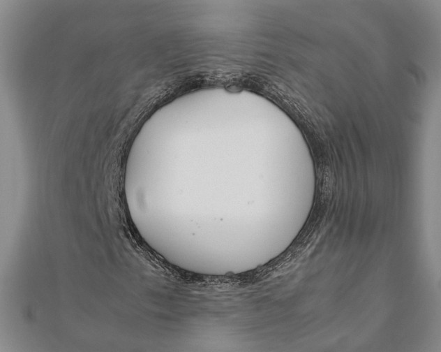 X0000112171153200908281334