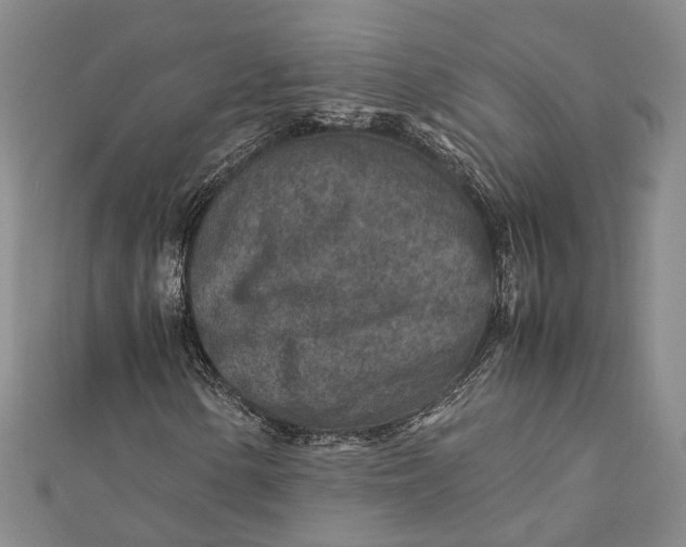 X0000112171154200908281333