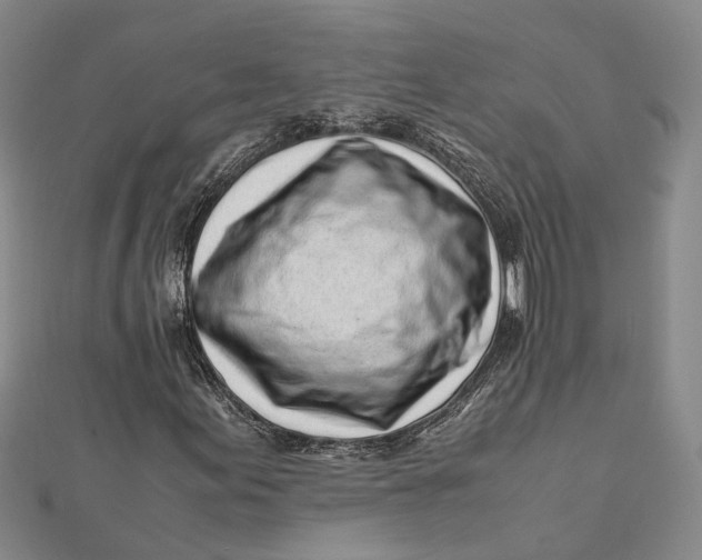 X0000112171155200908281333