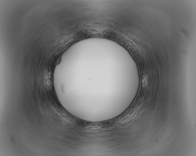 X0000112171156200908281333