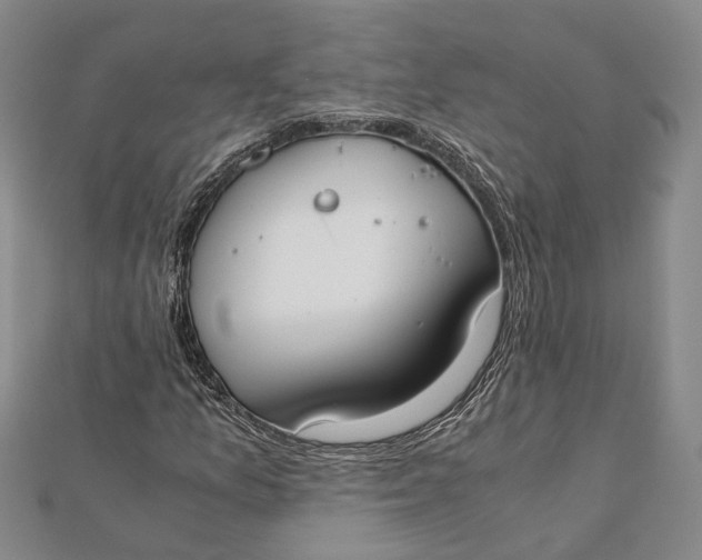 X0000112171157200908281333