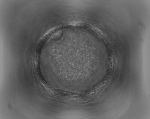 X0000112171158200908281333