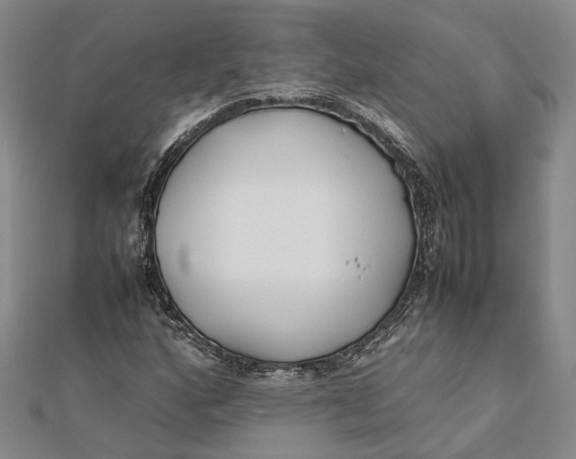 X0000112171160200908281333