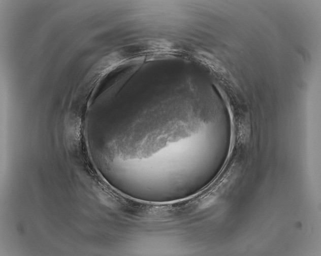 X0000112171161200908281333