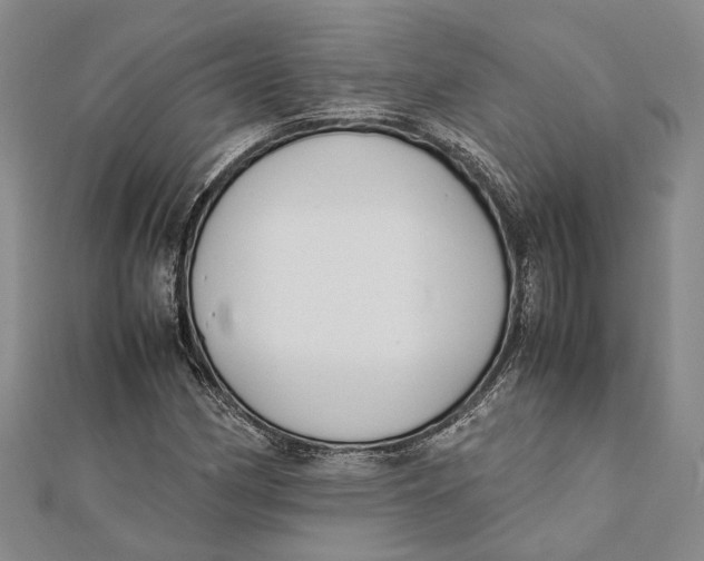 X0000112171162200908281333