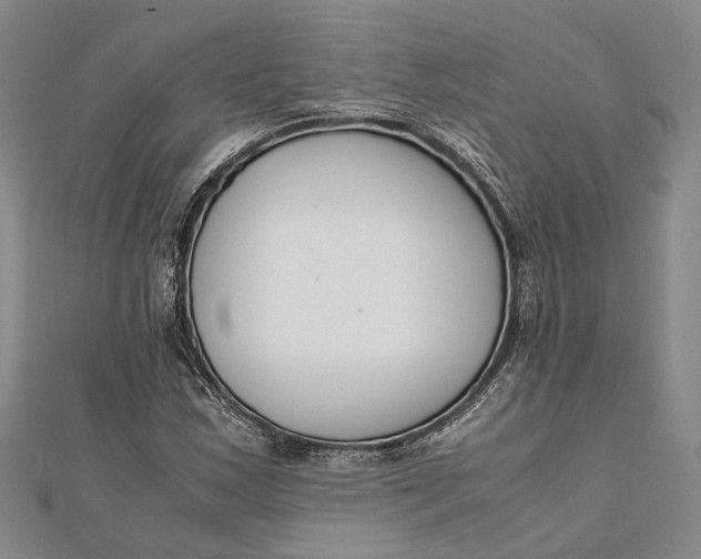 X0000112171163200908281333