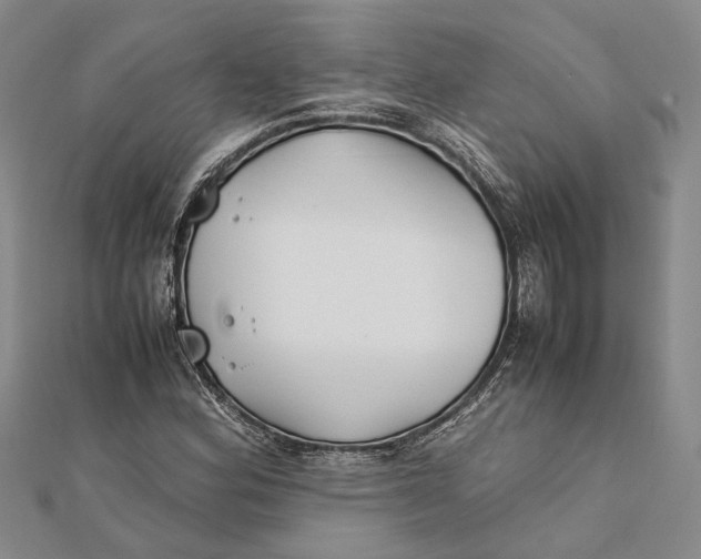 X0000112171164200908281333