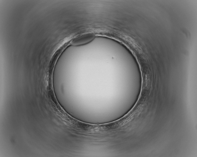 X0000112171165200908281333