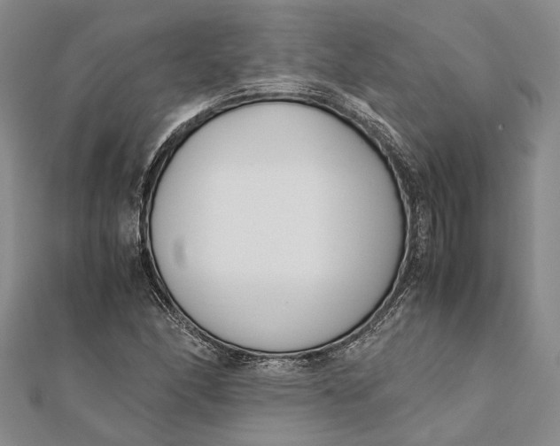 X0000112171166200908281333