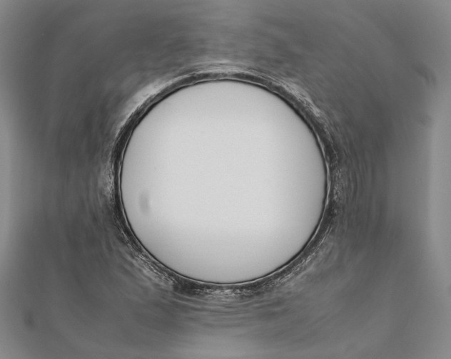 X0000112171167200908281333