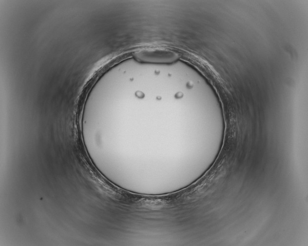 X0000112171168200908281333