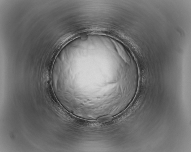 X0000112171169200908281333