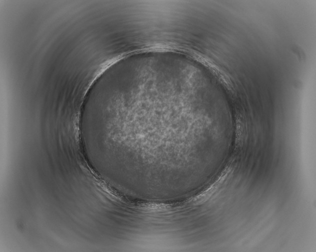 X0000112171170200908281333