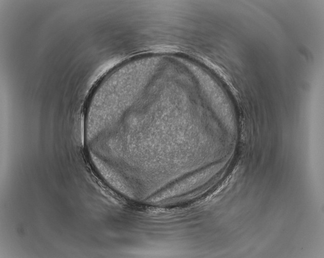 X0000112171171200908281333