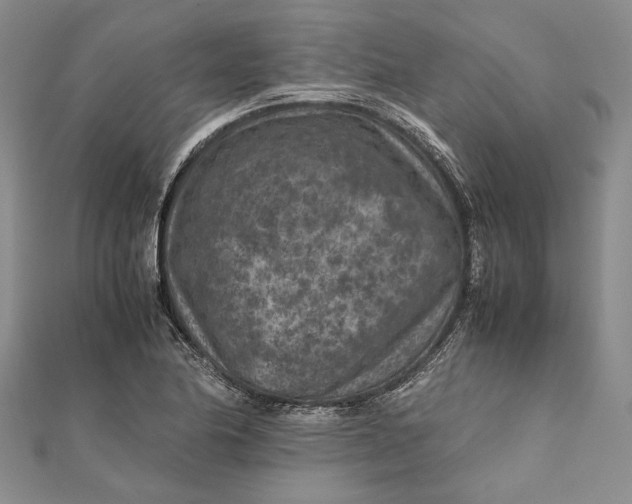 X0000112171174200908281333