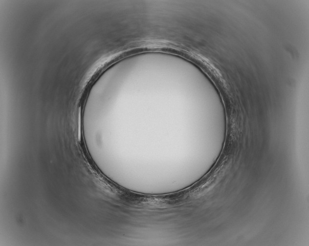 X0000112171175200908281333