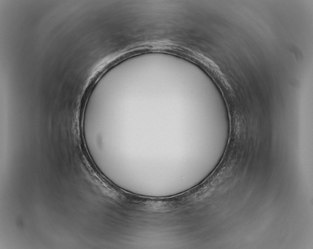 X0000112171176200908281333