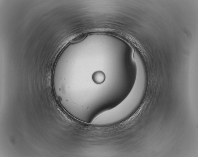 X0000112171177200908281333